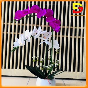 Bình Hoa Lan Hồ Điệp Cao Cấp - Chậu Hoa Giả Để Bàn Phòng Khách Cao 60cm Trang Trí Nhà Cửa Sang Trọng DH-25