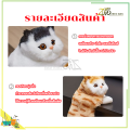 ตุ๊กตาแมวปลอมน่ารัก ตุ๊กตานุ่ม แมวจำลอง สำหรับตกแต่งส่วนต่างๆ ในรถ บ้าน  เพิ่มความน่ารักให้บ้านคุณ เหมาะกับของขวัญวันเกิด. 