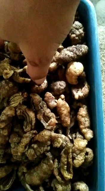 krupuk Tripang/Blonyo Matang Khas Sidayu Gresik (kemasan 1kg)