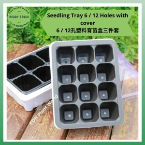 KDH Seedling Tray 6 12 Holes With Cover/Dulang Bekas Semaian 6 12 Lubang6 12 (3pcs)