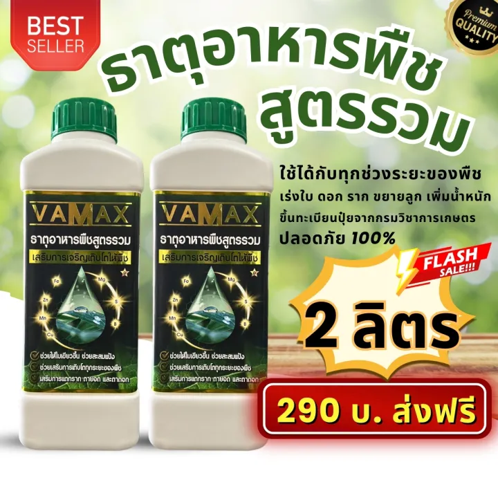 เปิดลิสต์! 5 ธาตุอาหารรอง-เสริมพืชตัวท็อป ที่ชาวสวนต้องมีติดบ้านในปี 2026!