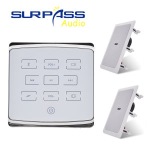 2 Channel Touch Button Mini Bluetooth Wall Mount Amplifier Support RS485 Smart Home Control with 5 "Stereo Ceiling Speaker Kit for Residential Hotels