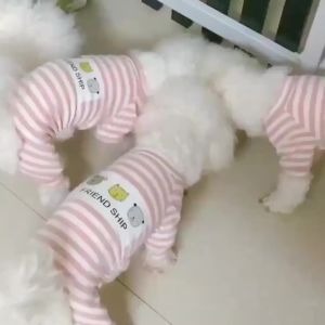 Free Shipping Dog Homewear Comfortable Soft  Clothes Puppy Cat Bichon Teddy/Pomeranian Dog Clothes Pajamas