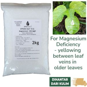 Epsom Salt(Magnesium Sulphate/Magnesium sulfate Mg2SO4)1.4kg/2kg/3.6kg Agricultural Grade for Gardening SHS KEBUN