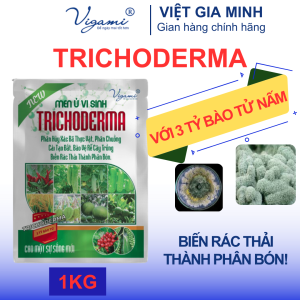 Men ủ vi sinh TRICHODERMA cải tạo đất tơi xốp ủ phân chuồng ủ xác bã thực vật 1KG