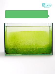 Magnetic Aquarium Glass Cleaner Magnetic Mount yee Fish tank brush magnetic brush strong magnetic cleaning brush cleaning tool glass algae double-sided magnetic algae scraper