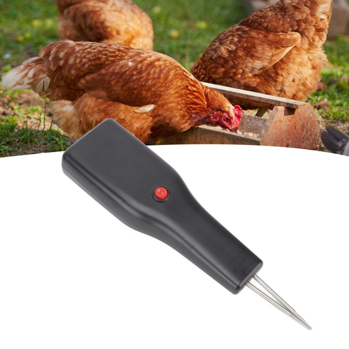 Electric Poultry Feather Plucker Handheld Chicken Plucker Full ...