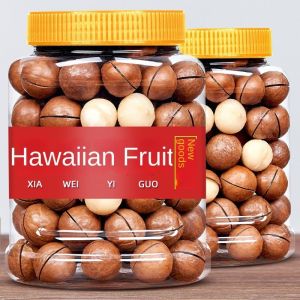 ( Buy 1 Take 1) Macadamia Nuts 40g Cream Flavored Nuts Dried Nuts Snack Individual Package QA