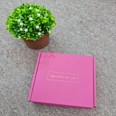 (BUY 10 FREE 2) BIGBOX Color Gift Box Craft Paper Box Pizza Box Carton Box Packing Box Packaging Box Kotak Hantaran Hidden Box 纸箱 飞机盒