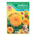 HORTI Sunflower Teddy Bear Seeds. 