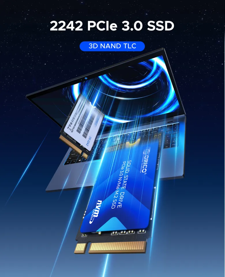 ORICO 2242 M.2 NVMe SATA PCIe 3.0 SSD 1TB 512GB SSD M.2 2242 PCIe