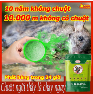 Mạnh gấp 10 lần mèo 10.000 m không có chuộtđuổi chuộtđuổi chuột trong nhàxịt đuổi chuộtdiệt chuột