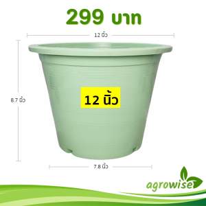 กระถาง กระถางต้นไม้ กระถางพลาสติก เบอร์ 12 นิ้ว สีเขียวพาสเทล 10 ใบ ชิ้น อัน