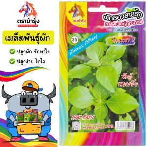 RAINBOWHORSE  🇹🇭 ผักซอง ม้ารุ้ง Z035 #โหระพา   เมล็ดพันธุ์ เมล็ดพันธุ์ผัก เมล็ดพันธุ์ ผักสวนครัว ตราม้ารุ้ง