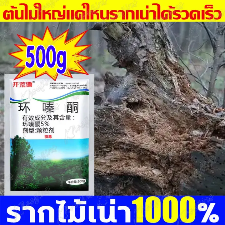 สารกำจัดก่อไผ่ 500g รากไม้เน่า แค่โรย เห็นผลเร็ว