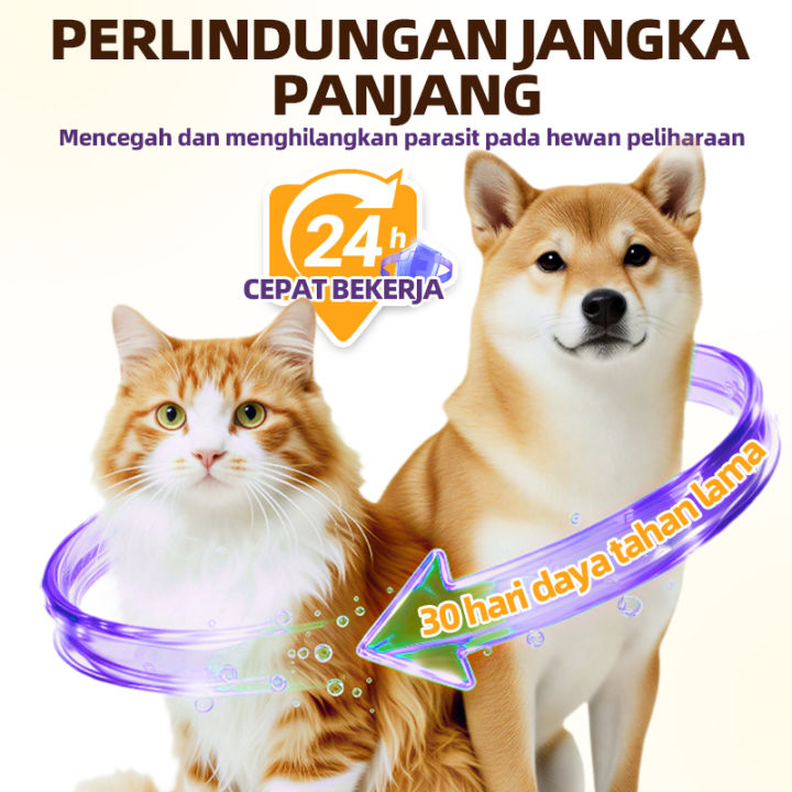 Cassiel%20Pet%20Obat%20Kutu%20Anjing/Kucing%20-%20Cair%20&%20Tablet%20Basmi%20Kutu,%20Cacing,%20infeksi%20Kulit%20BPOM%20-%20Image%206