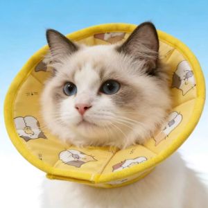 Breathable Pet Elizabeth Collar Adjustable Cartoon Pattern Pet Recovery Cone Anti-Scratch Waterproof Cat Protection Collar Wound Recovery