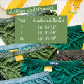 กางเกงในชาย ตราADDER แพ็ค 3 ตัว ขอบหุ้ม/ขอบเทป ราคาส่ง. 