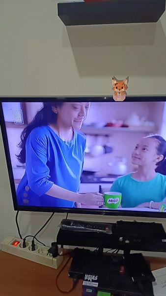 Buyer review video 2