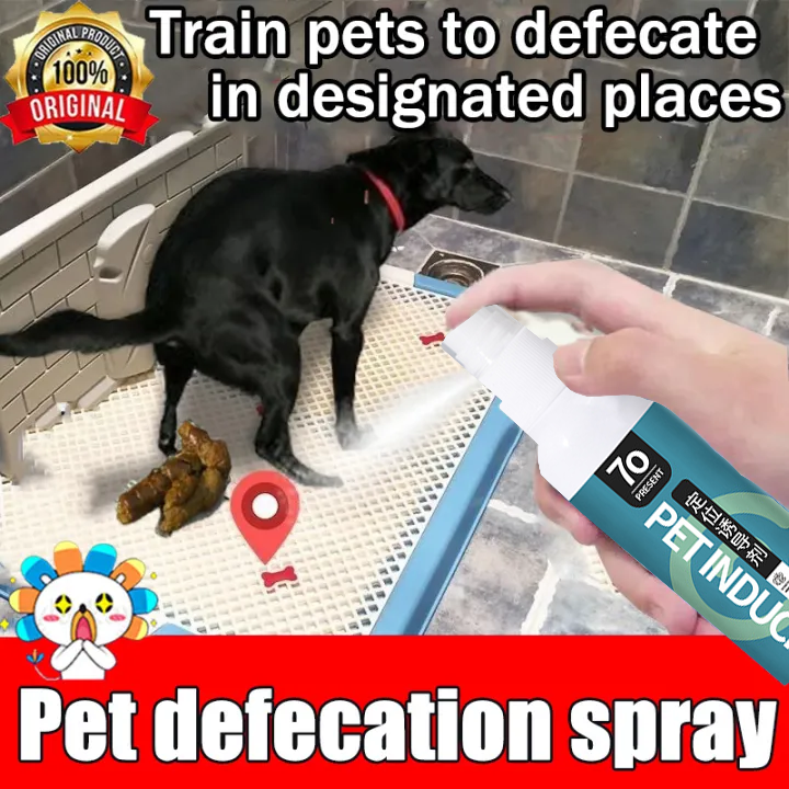 120ml Pet Dog Spray Inducer Dog Toilet Training Puppy Positioning
