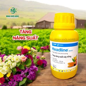Headline 250EC - Chai 100ml | Giải pháp tăng năng suất cây trồng