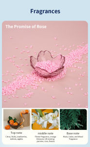 Scent Booster Laundry Beads 200g