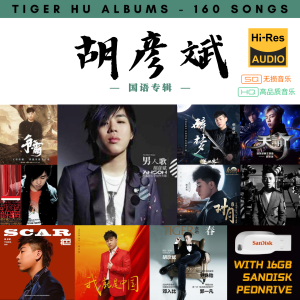 [160首] USB Pendrive Music 音乐USB 胡彦斌国语专辑 mp3 超高音质 16gb 流畅播放 Tiger Hu Songs 车载音乐