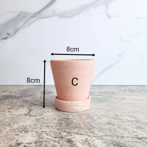 The Leaferie Yael terracotta plant pots with tray flowerpot . flowerpots . flower pot . planter . planters . Flowers