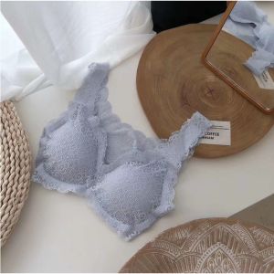 [Ready Stock] Seamless Bra for Women One Piece Sports Bra Plus Size 32-40 Cup ABCD Breathable Premium Lace No Steel Ring Wireless Bra Underwear