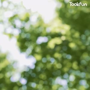 XIAOMI MIJIA Portablr Mixer Electric Mini Blender Fruit Vegetables Quick Juicing Kitchen Food Processor Fitness Travel