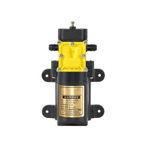 DC12V 165PSI Large Flow High Pressure Pump Electric for Farm Sprayer Car Wash Agriculture
