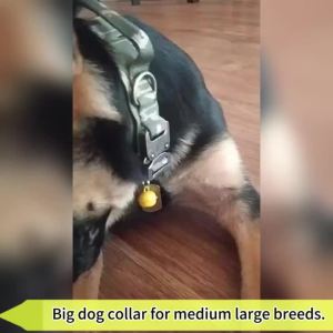 Elastic Dog Leash Adjustable Dog Rope For PuppyTraining Leash Dog Leash And Collar