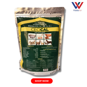 1kg Cecical Powder + 1 kg V22 Powder cecical powder 1kg belman products belman laboratories for animals