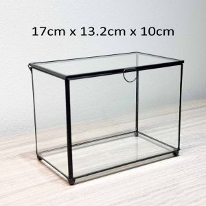 Terrarium Landscape Miniature Glass Tank - House-Shaped Micro Landscape Terrarium POT2025