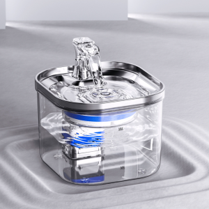 Cat Water Fountain 2L 304 Stainless Steel: A Complete Guide