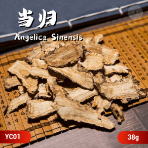 Chinese Herbs Herbal Medicine 当归 Angelica Sinensis Angelica Slice Nourishing Blood 中药材 干货 补血活血 YC01