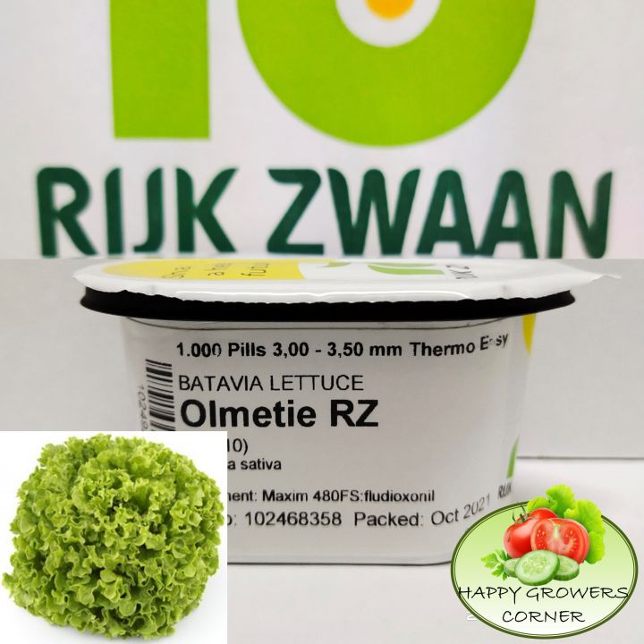 Olmetie RZ Green Batavia Lettuce by RIJK ZWAAN (50, 100 & 200 pelleted