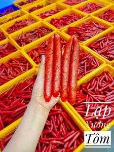 LẠP TÔM - KHÔ SÓC TRĂNG