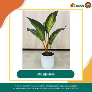 ต้นไม้ดอกไม้ปลอม ขนาด ต้นไม้ 25x30cm ดอกไม้ 17x20cm Artificial plants ช่อดอกไม้ปลอม ต้นไม้มงคลประดิษฐ์ ต้นไม้ตั้งโต๊ะ ต้นไม้ปลอมพลาสติก มิตสห Mitsaha Hybaan