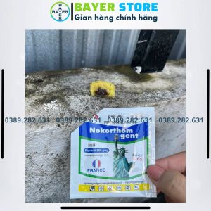 [Combo 50 + TẶNG 5] REGENT NOKORTHOM (gói 1.6gr) Nguyên Liệu Nhập - Chế phẩm diệt côn trùng đa năng NOKORTHOM diệt sạch kiến gián bọ chét mạc gà sâ.u kháng
