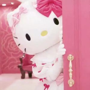 2025 Cinnamoroll Babycinnamoroll Camera Student Carry-on Mobile Phone Children Japanese Digital Mini Camera High Pixel Clow M