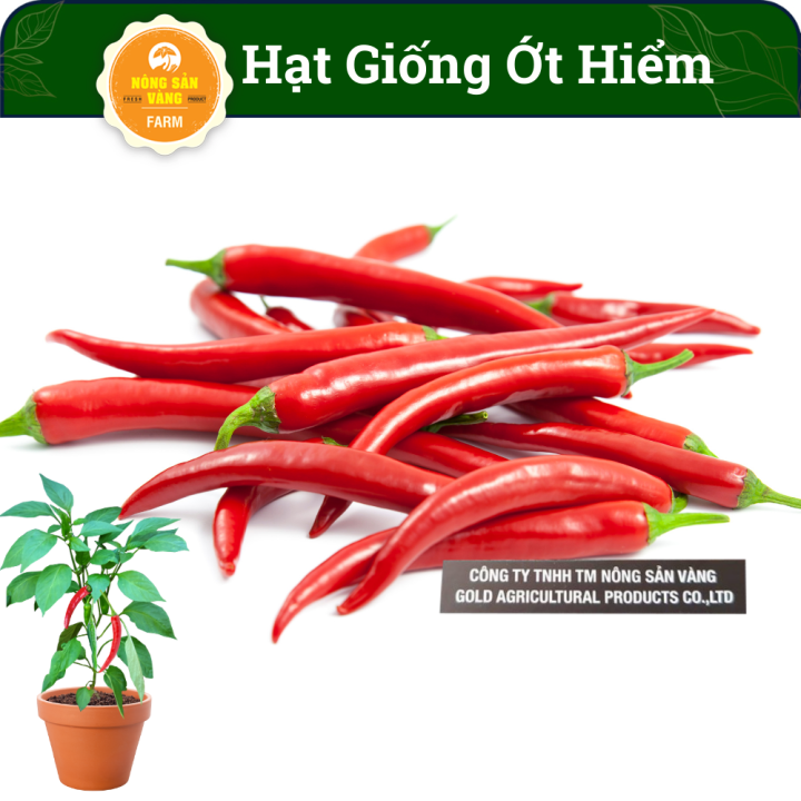 Hạt giống Ớt Mắt Chim(Ớt Hiểm) Tỉ Lệ Nảy Mầm Cao, Dễ Trồng, Cây Gia Vị ...