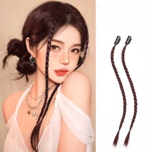 Zy Fashion 2pcs/set y2k Colorful Braided Wig Hair Clip for Women Fashion Cute Girl Wig Accessories