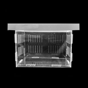 NOBLE YOU Trong suốt Hộp cách ly cá Có thể tháo rời Acrylic Bể nuôi cá Thiết thực Máy ấp trứng bể cá Hộp cách ly nuôi cá Cho bể cá