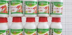 Com Bo10 chai chế phẩm sinh học tri bi Sát Thủ Ruồi Vàng (240ml): thuốc xua đuổi ruồi vàng thuốc diệt ruồi vàng #thuốc_diệt_ruồi_vàng