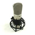Behringer B-1 Gold Sputtered Large Diaphragm Studio Condenser Microphone Mic (B1/ B 1). 