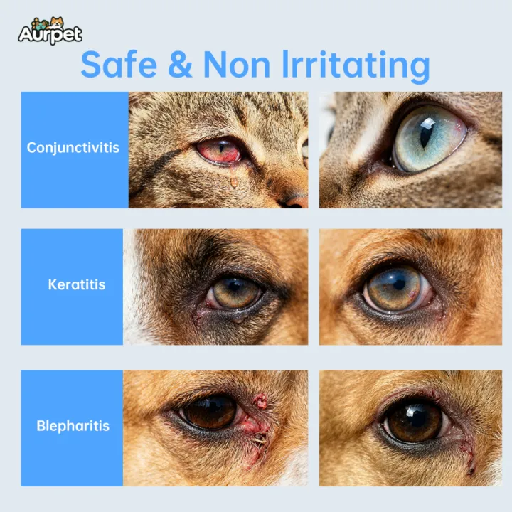 Aurpet%20Tetes%20Mata%20Hewan%20Atasi%20Konjungtivitis%20Keratitis%20Belek%20Kemerahan%20Gatal%20Kucing%20&%20Anjing%20-%20Image%203