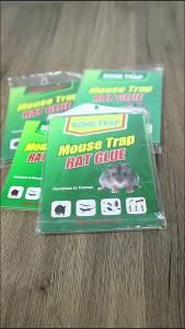 Sticky glue pad English Mouse Trap Strong Adhesive Mouse Catcher Mouse Killer Glue Mouse Board Wholesale for Foreign Trade