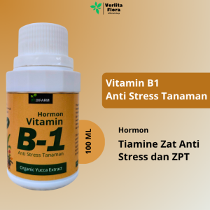 JXFarm Vitamin B1 Tanaman Anti Stress Kualitas Import