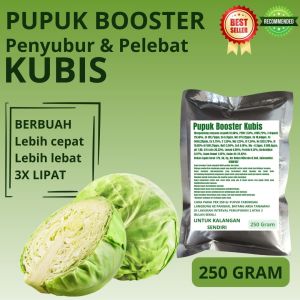 Pupuk Booster Kubis / Obat Booster Kubis / Pupuk Booster Kubis / Pupuk Kubis